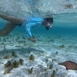 Lauren Elias, Turks & Caicos